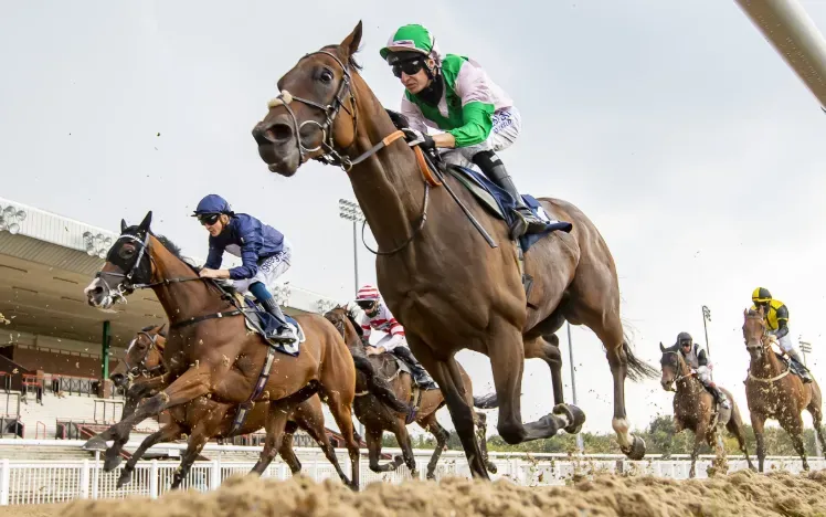 Montana landscape with mountains